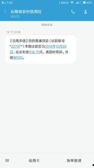 信用社最新爆料信息查询,深度解析行业动态与风险预警